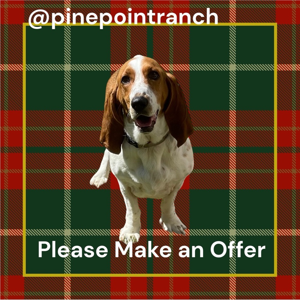 Don’t delay. Please make offers. Cute hound dog not for sale